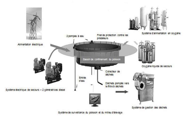 Figure 1: Le système en parcs clos d’AgriMarine