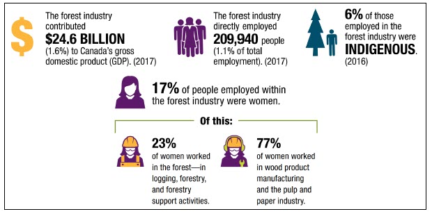 In 2017, the forest industry contributed $24.6 billion (1.6%) to Canada’s gross domestic product (GDP). It directly employed 209,940 people (the equivalent of 1.1% of total employment). 

In 2016, Indigenous people accounted for 6% of those employed in the forest industry.
 In 2016, 17% of people employed within the forest industry were women – 23% of these women worked in the forest (in logging, forestry, and forestry supported activities), while the remaining 77% worked in wood product manufacturing and the pulp and paper industry.