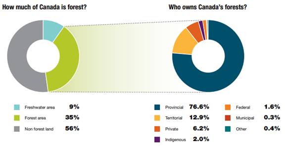 This figure provides a breakdown of forest land ownership in Canada. 

First Chart: How much of Canada is forest? According to the first pie chart, 35% of Canada’s land is forest land. Of the remainder, 9% is freshwater area and 56% is non-forest land. 

Second Chart: Who owns Canada’s forests? According to the second pie chart, the breakdown is as follows: 76.6% is provincial; 12.9% is territorial; 6.2% is private; 2% is Indigenous; 1.6% is federal; 0.3% is municipal; and 0.4% is classified as “other.”   
