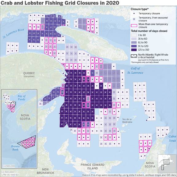 This map illustrates the number of days a fishing grid was either temporarily or seasonally closed in the Gulf of St. Lawrence and the Bay of Fundy during the 2020 season. The grids that were seasonally closed are north of Prince Edward Island, north and east of Gaspésie and west of Îles-de-la-Madeleine, while most temporary closures were on the periphery of those grids. Also visible are the North Atlantic Right Whale critical habitats pursuant to the Species at Risk Act, south of Nova Scotia and in the Bay of Fundy. Data in this map were recreated by using data trackers, archival maps and GIS data.