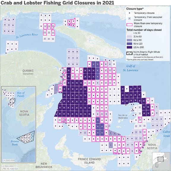 This map illustrates the number of days a fishing grid was either temporarily or seasonally closed in the Gulf of St. Lawrence and the Bay of Fundy during the 2021 season. The grids that were seasonally closed are north of Prince Edward Island, east of Gaspésie, north and east of the Îles-de-la-Madeleine, while most temporary closures were on the periphery of those grids. Also visible are the North Atlantic Right Whale critical habitats pursuant to the Species at Risk Act, south of Nova Scotia and in the Bay of Fundy. 
