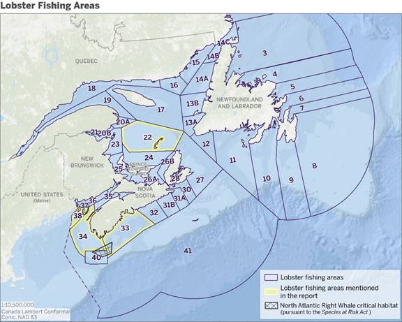 This map illustrates the numbered Lobster fishing areas as per the Atlantic Fishery Regulations with areas 22, 33, 34 and 38 highlighted as they were mentioned in the report. Also visible are the North Atlantic Right Whale critical habitats pursuant to the Species at Risk Act, south of Nova Scotia and in the Bay of Fundy.