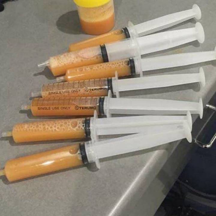 A photograph of seven syringes and a laboratory specimen container on a grey surface. The syringes and container are filled with a light brown liquid.