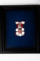 Photo gallery for Companion of the Order of Canada photo 2